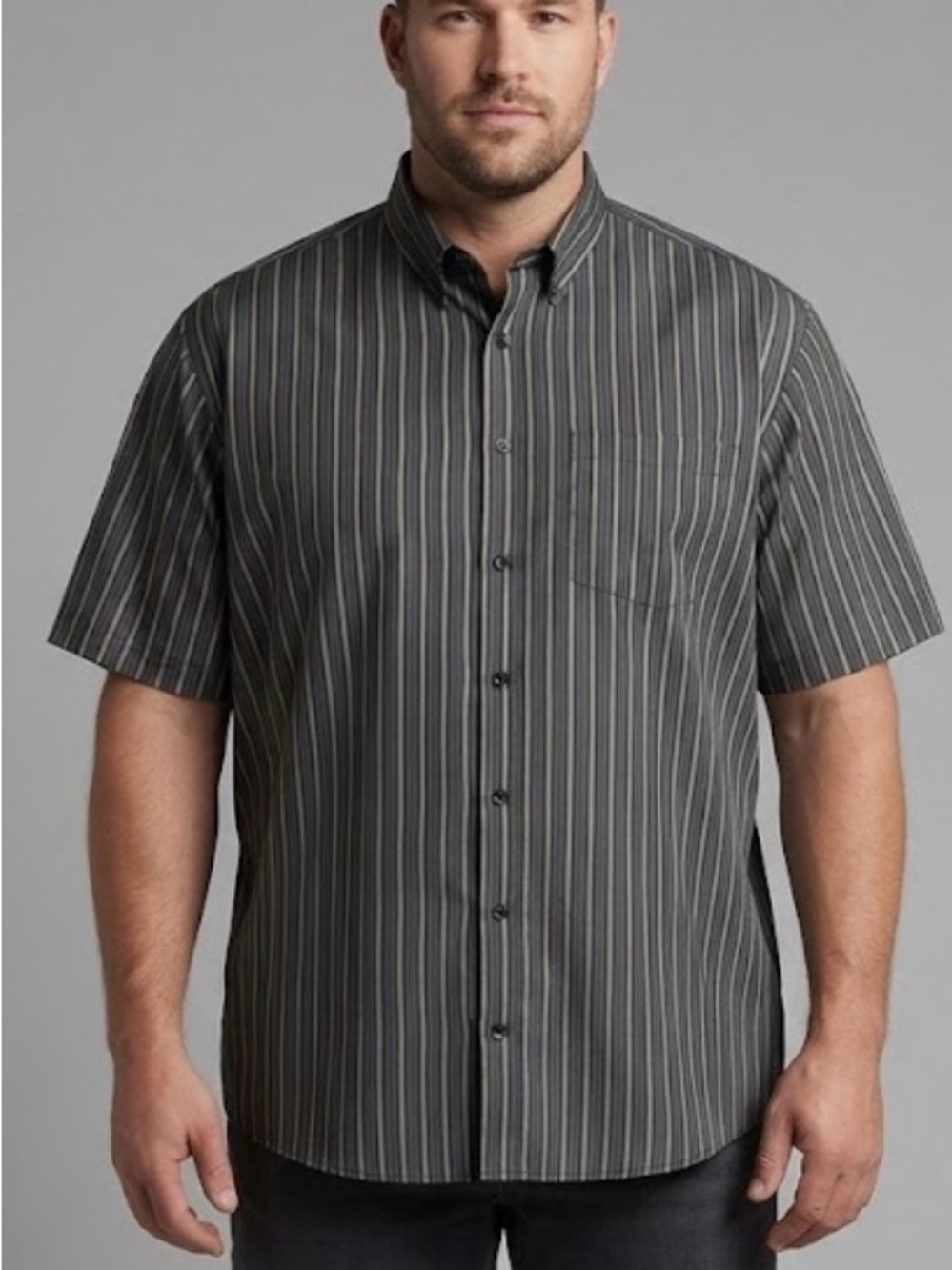 Van Heusen No Iron Striped Short Sleeve Button Down Shirt XL 17-17.5